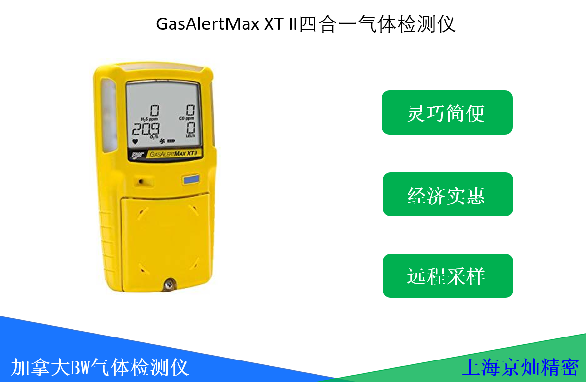 1-200HQ64616164 BW GasAlertMax XT II泵吸式气体检测仪